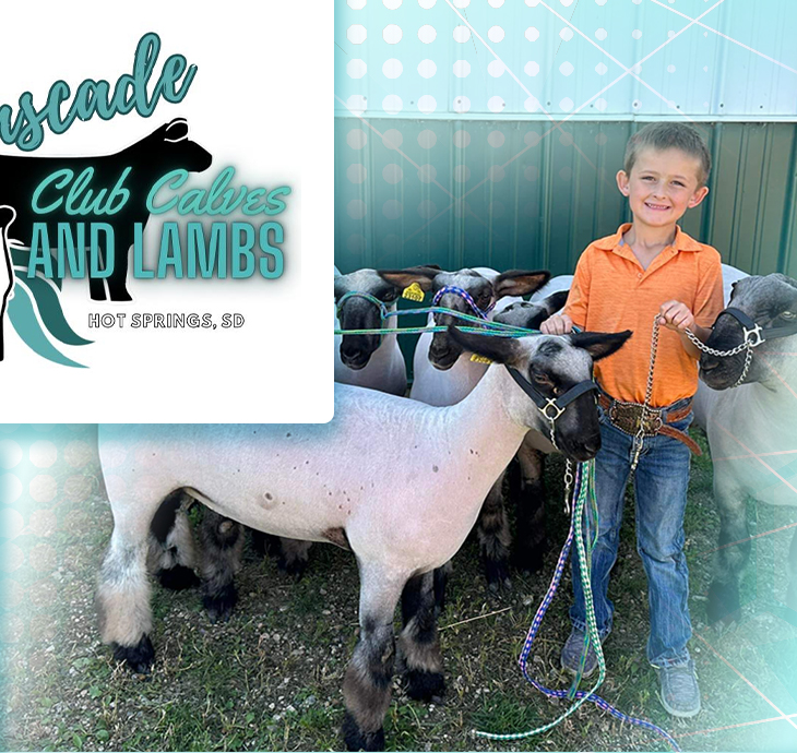 Cascade Club Calves and Lambs